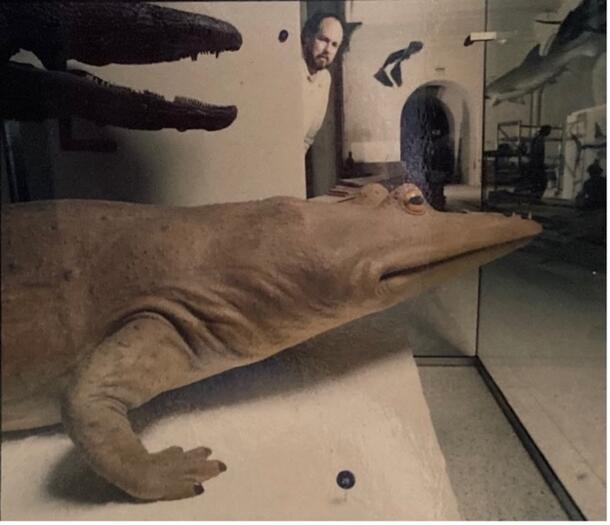 Lowell Dingus with Mastodonsaurus giganteus model and fossil assembly Paracyclotosaurus davidi cast scull, 1990s, Dept. of Vertebrate Paleontology