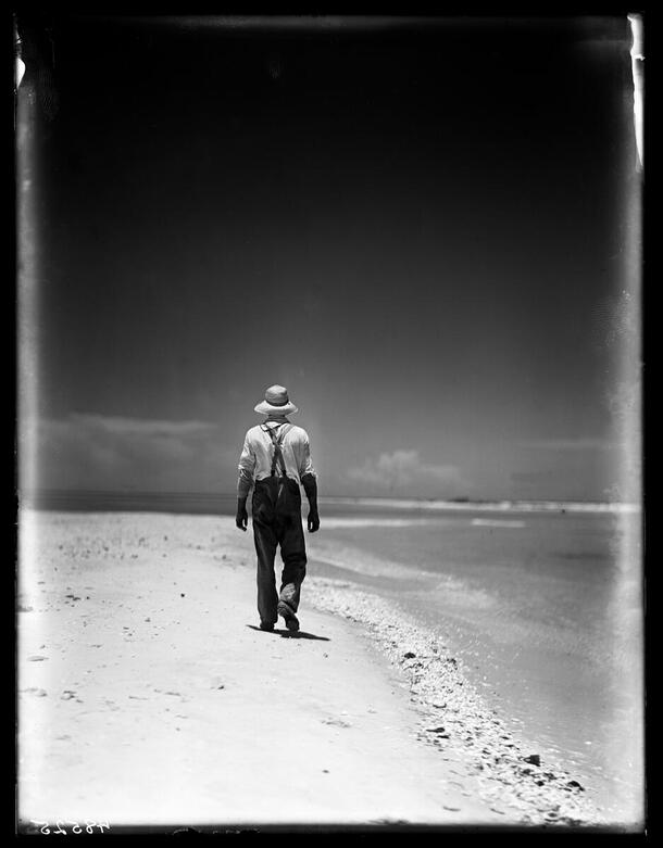 Dode on beach, Gasparilla Pass, Florida, 1908