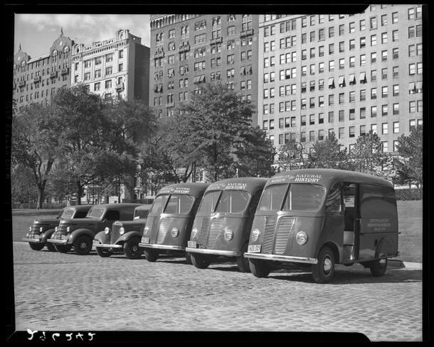 Photograph of new trucks for the Department of Education, September 1941 – AMNH Library, Image Number: 296242 