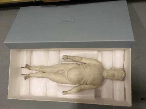 Simple shoebox-type enclosure safely housing a plaster model of a human endomorph.