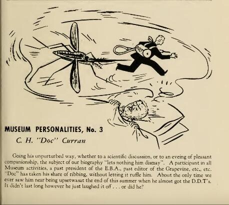 Entry on Dr. Curran from the Christmas 1945 issue of Grapevine, the Museum’s lighthearted internal staff newsletter.