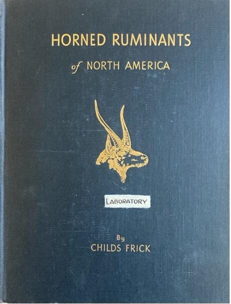Childs Frick, Horned Ruminants of North America, New York: The American Museum of Natural History, [1937], VPA 110 Frick Laboratory Publications
