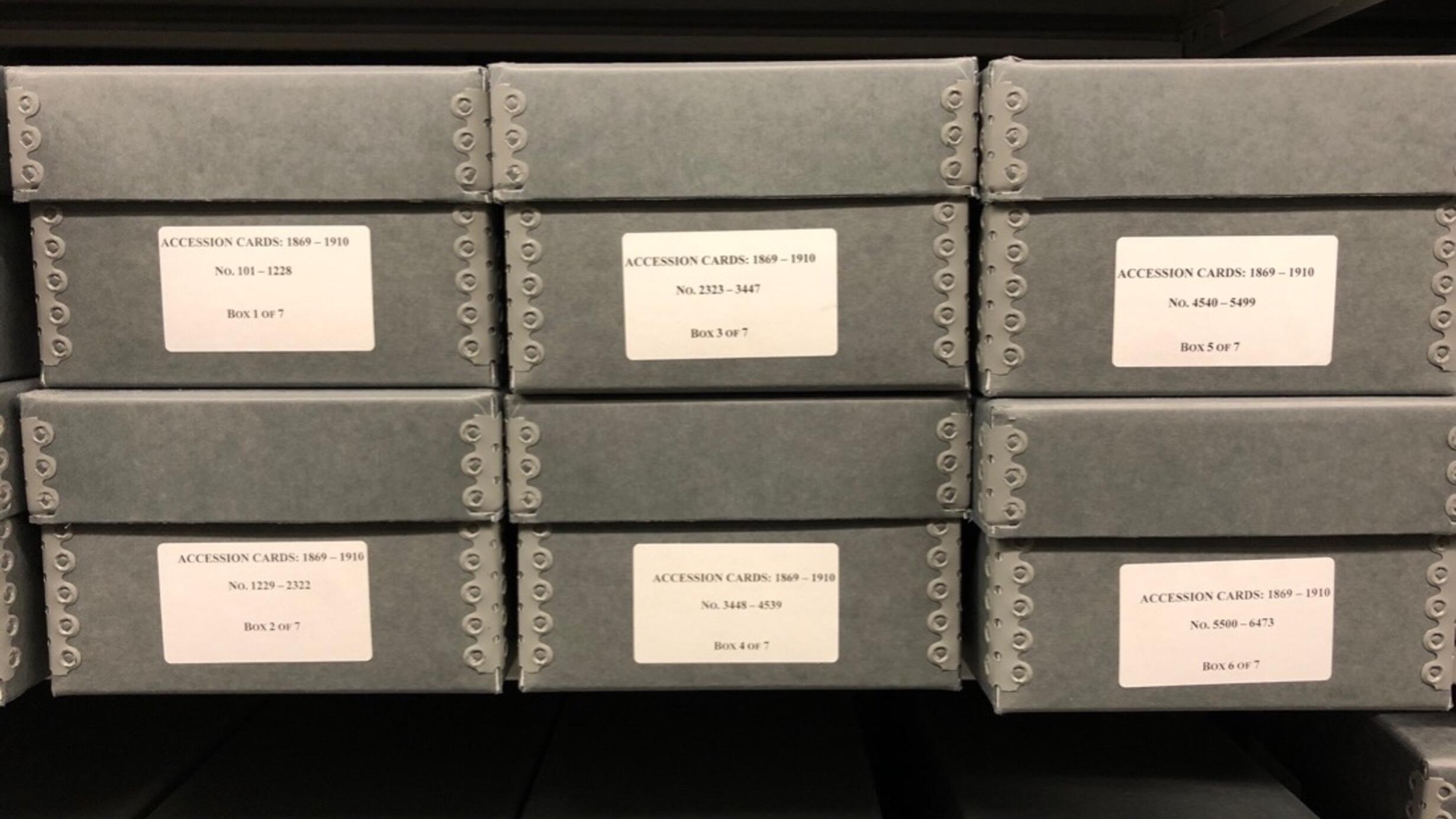 Image of AMNH Accession Card Archive boxes.