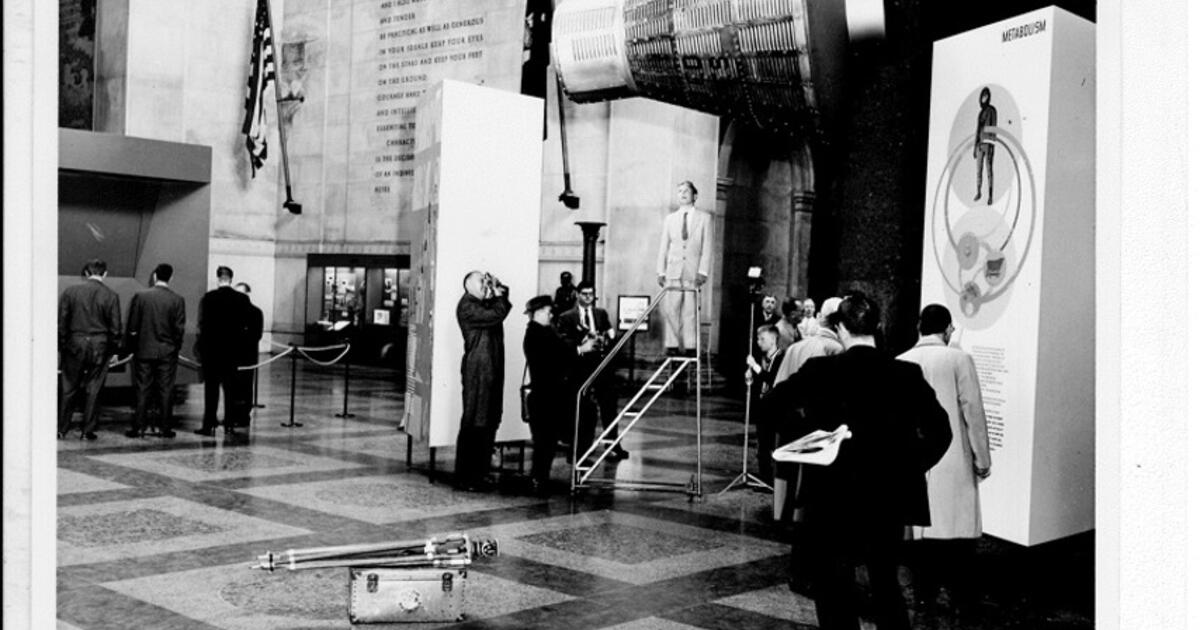 Library Fun Finds 4.15.22 | AMNH