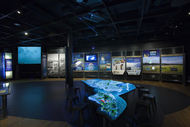 Photograph of the exhibition, Nature's Fury: The Science of Natural Disasters, Gallery 3, November 14, 2014.