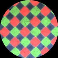 48x magnification of Paget color screen