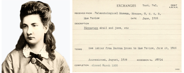 Left: Maria Vasilievna Pavlova, image via Wikimedia Commons, Right: AMNH Exchange card reflecting specimen collected by Pavlow