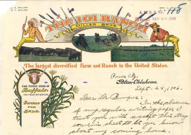 A letter from an AMNH research assistant discussing time away for health reasons on paper with a Ranch 101 letterhead.