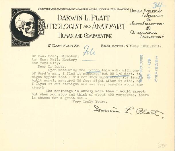 A letter about a python specimen with skull letterhead.