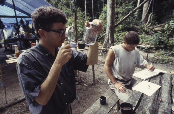 Two men, Mark Dion and Alexis Rockman, at a research field camp in Guyana, 1994. One is looking with a magnifying glass at at glass jar; one is writing in a sketch book.