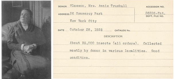 Left: Anna “Annie” Trumbull Slosson, image via Wikimedia Commons, Right: AMNH Accession card reflecting items collected by Slosson.