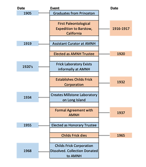 Timeline showing Childs Frick's relationship with AMNH