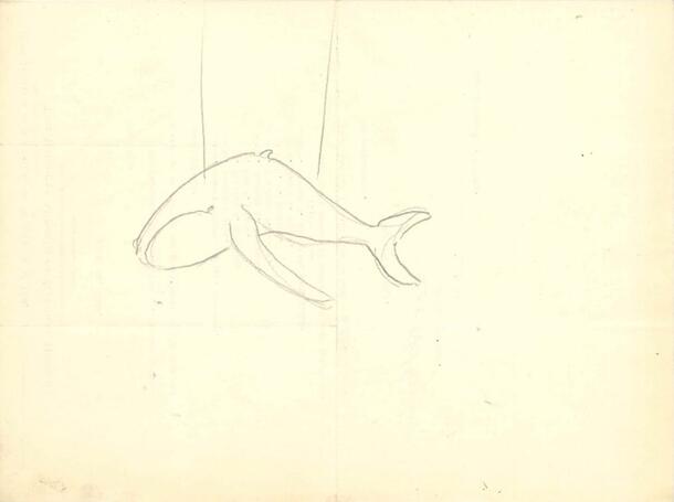 Sketch of whale from announcement of committee members for the Decoration and Development of the Fish and Oceanic Halls, April 1925