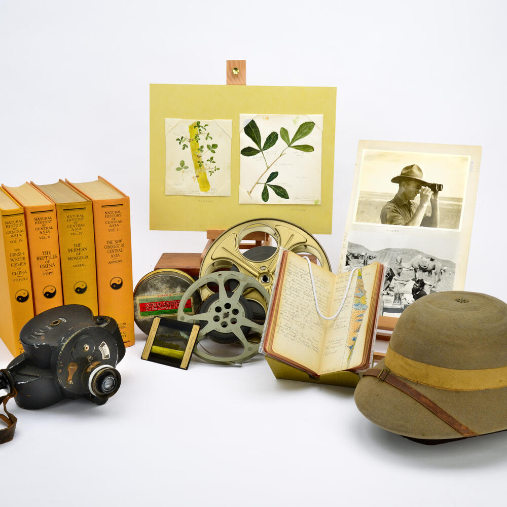 From left to right: film camera, Natural History of Central Asia volumes, field artwork, lantern slides, film reels, field book, photographic prints, 