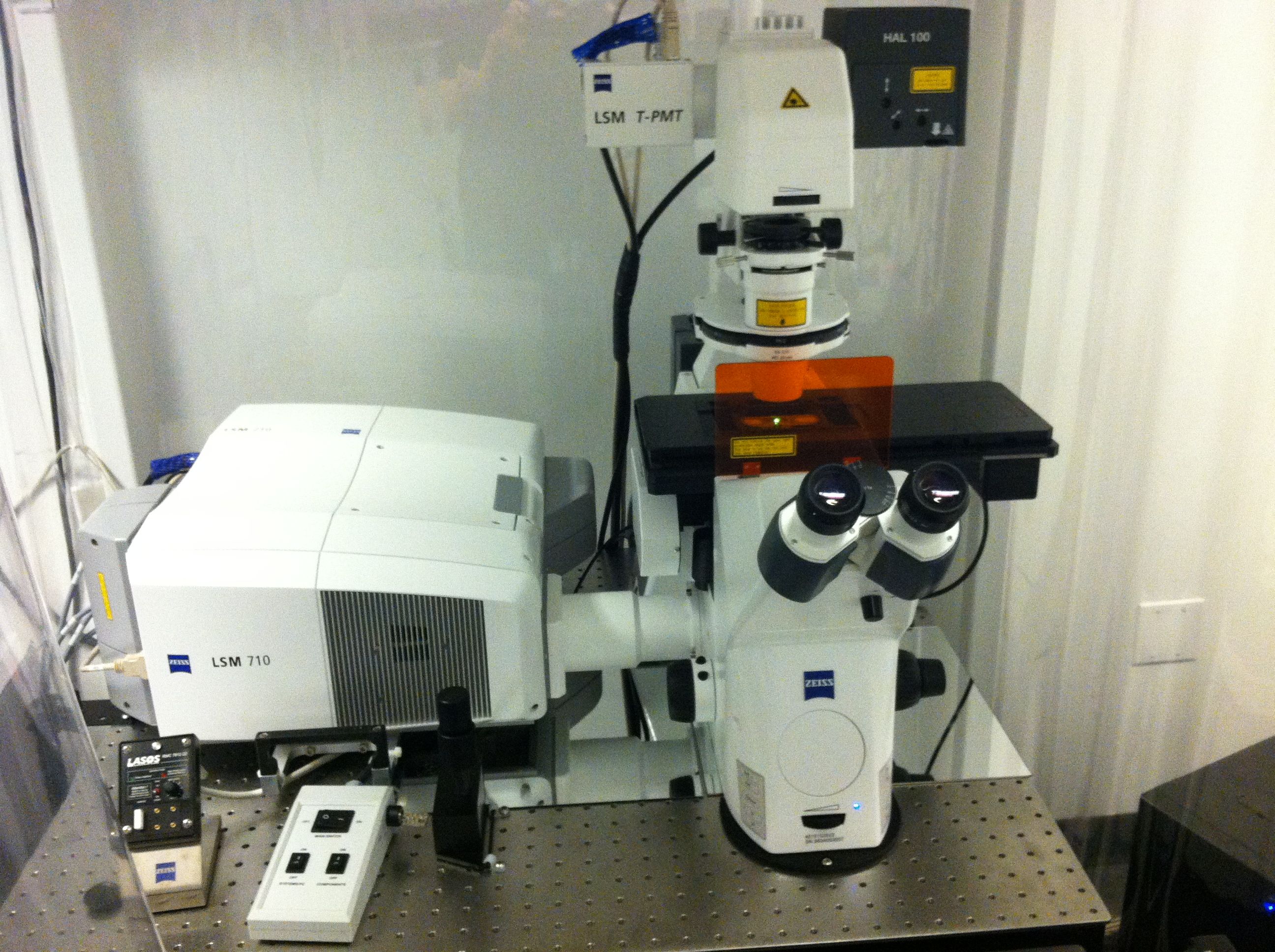 In the Museum’s Microscopy and Imaging Facility, the Zeiss LSM 710 confocal laser scanning microscope.