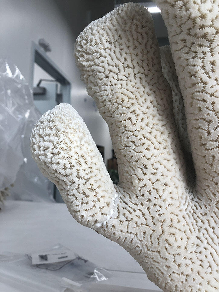 Close-up on three pillars of a restored coral with light colored fill material visible where the broken piece was reattached.