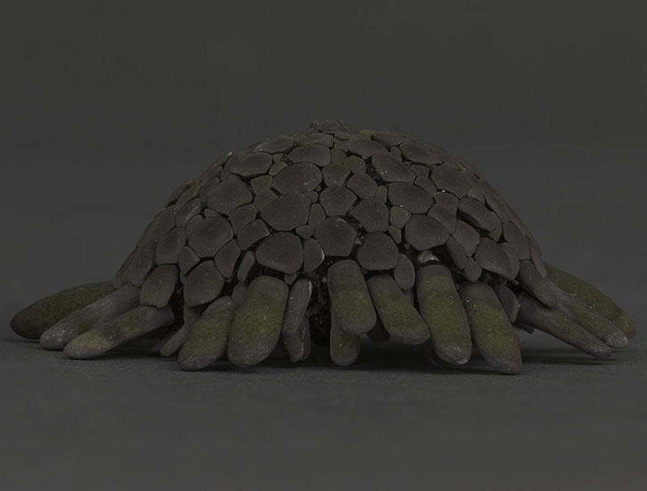 Sea urchin dry specimen with a rounded, tesselate "shingle"-like spines.