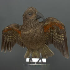 Dark colored parrot taxidermy mount perched upright on a stand.