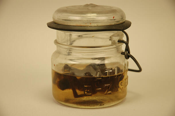 Specimen in a jar.