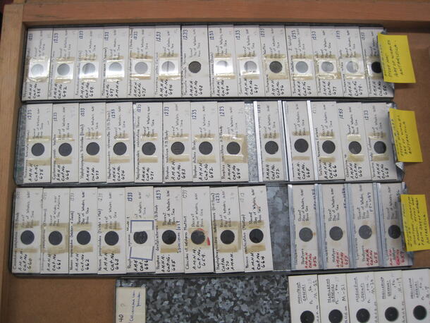 A drawer full of specimen slides.