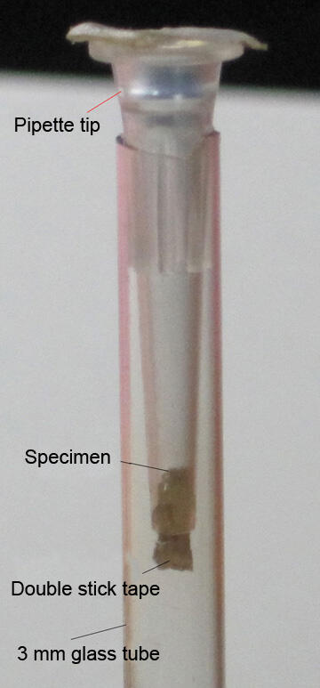 pipetteTip