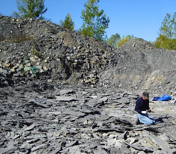 Painstaking examination of limestone slabs