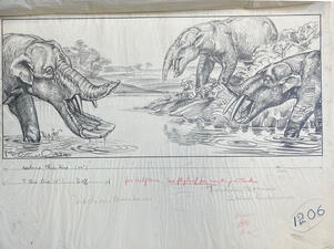 Rendering of three extinct elephant relatives facing one another as they stand in a shallow body of water.