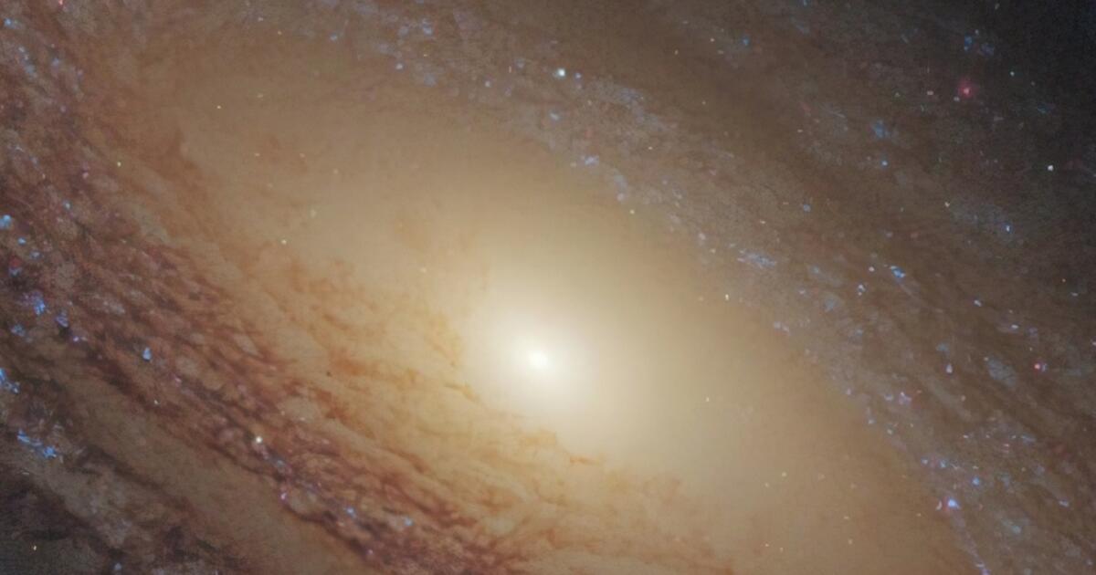 Department of Astrophysics | American Museum of Natural History