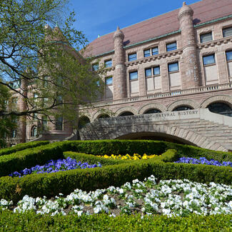 Exterior view of the older buildings of the American Museum of Natural History, surrounded by spring flowers and blossoming trees.