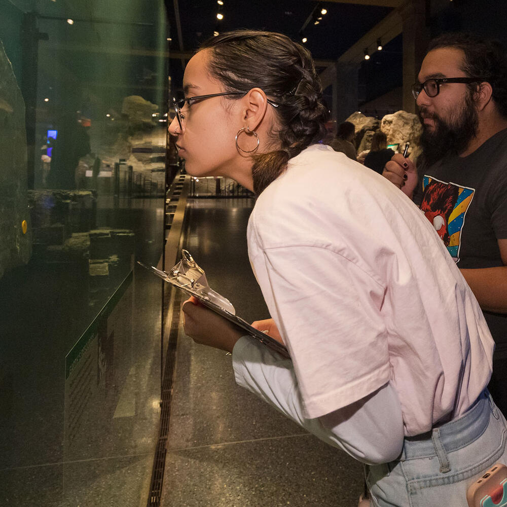 Two MAT students holding clipboards lean in to closely examine a display in the Museum's Hall of Planet Earth.