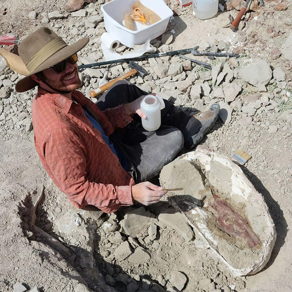 RGGS Graduate Zac Calamari is seated on a rocky hillside, using tools to extract the skull fossil of a large perissodactyl located in Washakie Basin, Wyoming. 