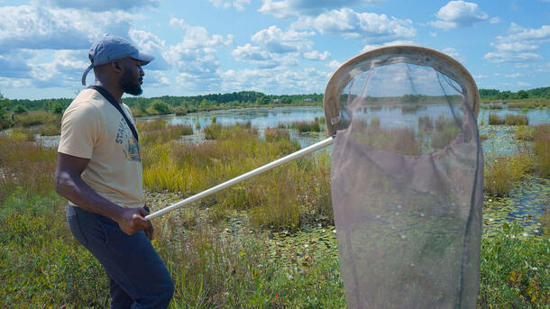 Collaborative PhD student Rhema Uche Dike outdoors doing field research, holds a net and looks out over a marshy landscape.