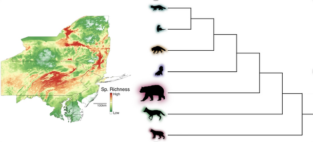 Map of the states of New York, New Jersey, Pennsylvania, and Delaware (left), silhouettes of 7 different animal species (right).