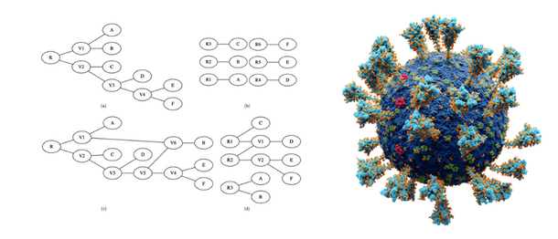 Phylogenic mapping diagram (left), spherical model of a virus (right).