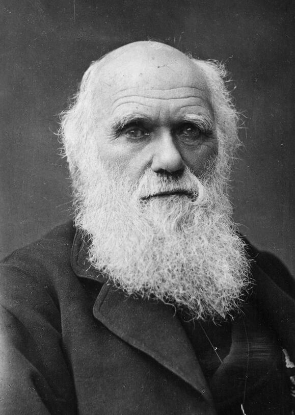 A bust shot of a man, Charles Darwin, with a long white beard and mustache posing for the camera wearing a dark coat.