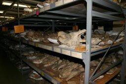Substandard storage