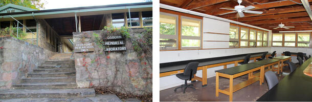 Two photos. On the left is a rock stairway leading up to the laboratory facilities. On the right is the inside of an empty laboratory with tables.