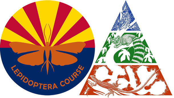 Two logos:Circle with orange butterfly and red, yellow, blue background. Triangle with outlines of blue owl, green ringtail, red lizard and ant. 