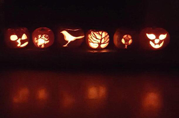Six lit up pumpkins with faces, birds or trees carved into them in a dark scene with a reflection below