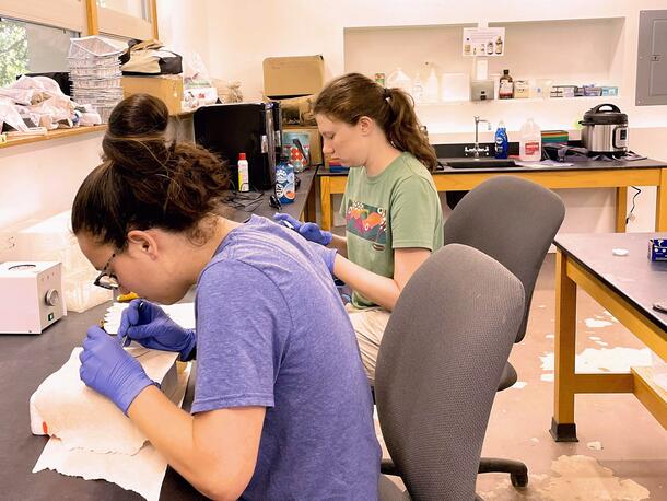 Two young women working at a table in a laboratory with miscellaneous supplies on surrounding tables and shelves.