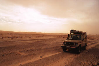 A sports utility vehicle with a roof rack driving in a sandy desert with a long train of camels in the background.