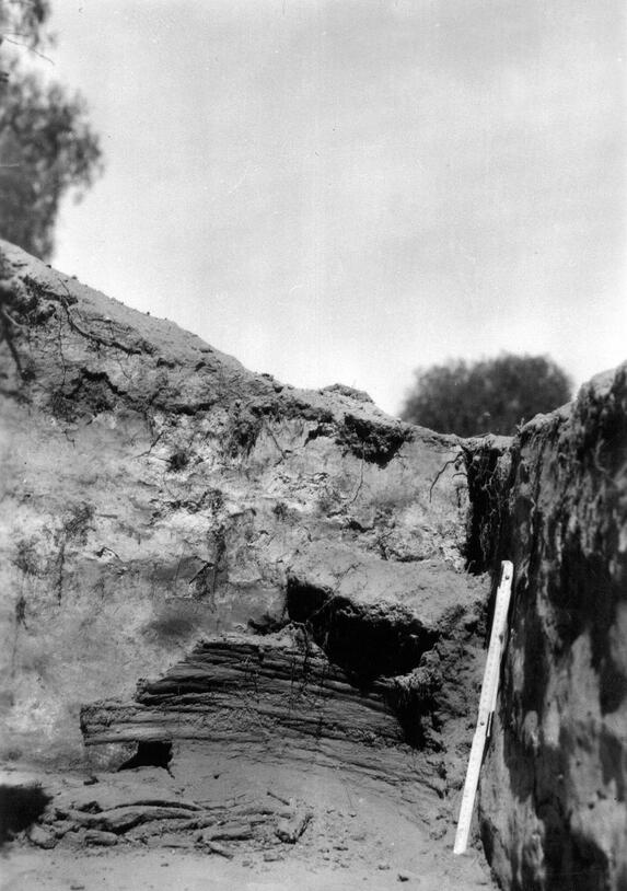 A section of an excavated stone wall with the photo caption "Granary."