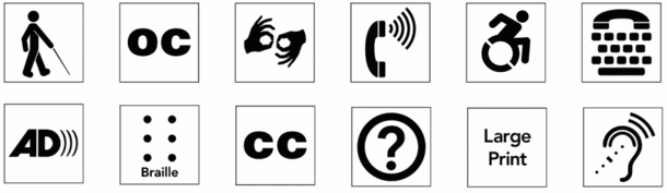 Two rows of graphic images, each comprised of six icons that indicate the presence of accessible resources.