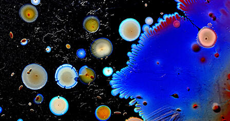 Colorful bacteria float in front of a black background
