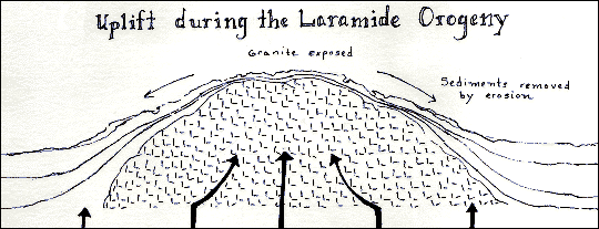 A black-and-white sketch titled "Uplift during the Laramide Orogeny," showing a mound of granite being exposed as surface sediment erodes.
