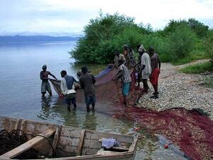 About a half-dozen men on a pebbly beach handling a very large fishing net.