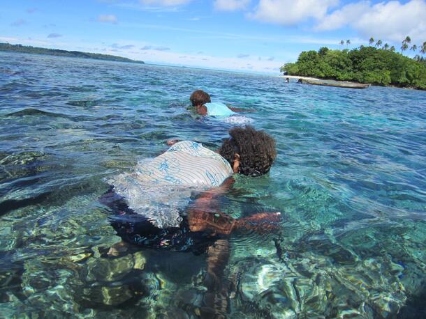 Two people walk in the reef with their faces down in the clear water.