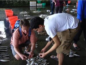 Two men in an indoor location kneeling over a pile of small fish on the floor.