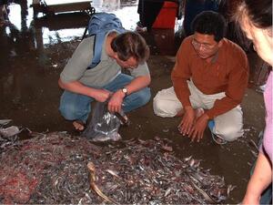 Two men kneeling on a floor before a mound of tiny fish in a pile. One man is holding a clear plastic bag.