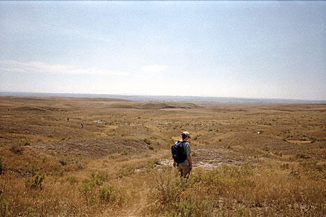 A wide shot of a person standing outdoors on a wide slightly rolling field of scrub and dry brown grass beneath a clear blue sky.